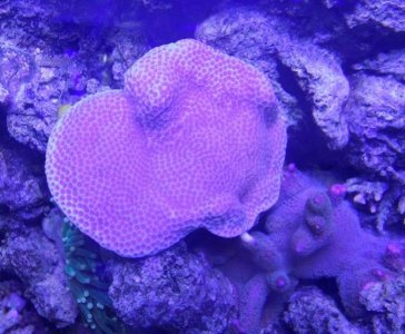 DSCN1527.jpg