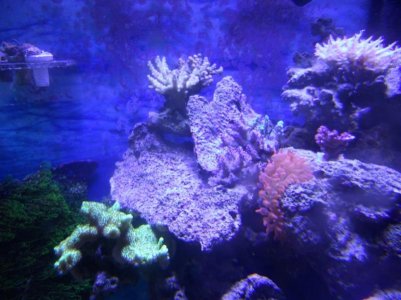 DSCN1526.jpg
