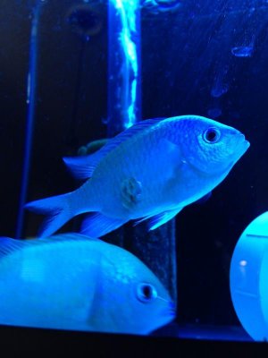 photo (11).jpg