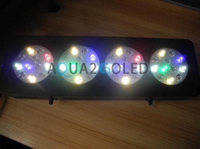 Light Color Stock.jpg