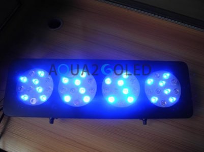 Light Blue Stock.jpg