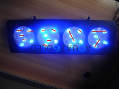 New Modified Light Order.jpg