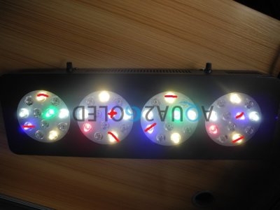 New Modified Light Order2.jpg