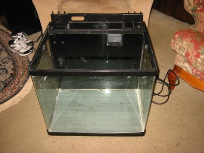 IMG_3717.jpg