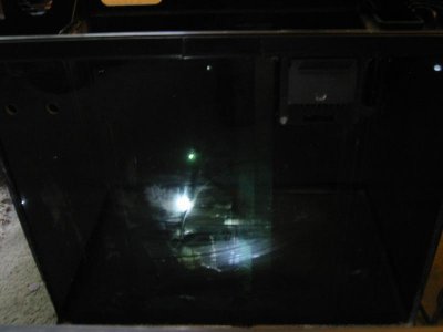 IMG_3721.jpg