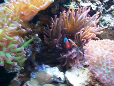 100_8680.jpg