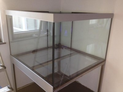 reefcubes2.jpg