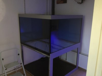 reefcubes3.JPG