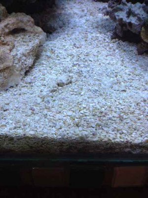 ImageUploadedByTapatalk1398732179.260313.jpg ImageUploadedByTapatalk1398732179.260313.jpg