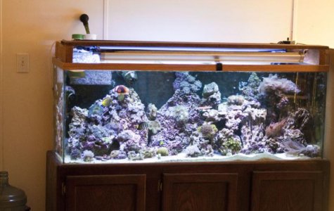 120l.jpg
