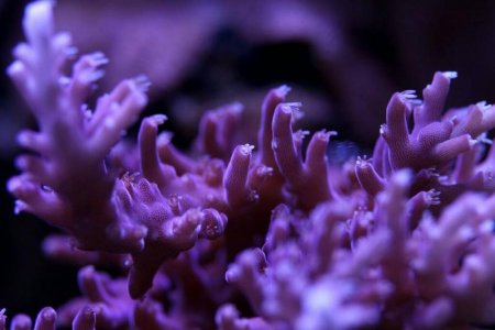 uploadfromtaptalk1398799543061.jpg uploadfromtaptalk1398799543061.jpg