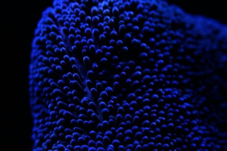 uploadfromtaptalk1398799583976.jpg uploadfromtaptalk1398799583976.jpg