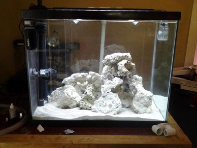 orbit 24-36 full white.jpg