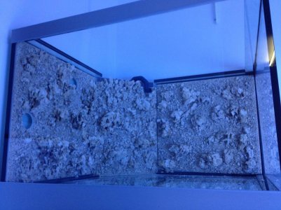 reefcubes6.jpg