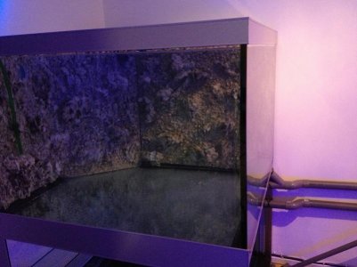 reefcubes10.jpg