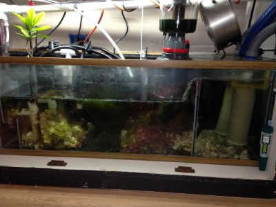 sump.jpg
