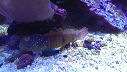 uploadfromtaptalk1399160112391.jpg uploadfromtaptalk1399160112391.jpg