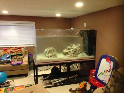 400GAL FISH TANK 1.jpg