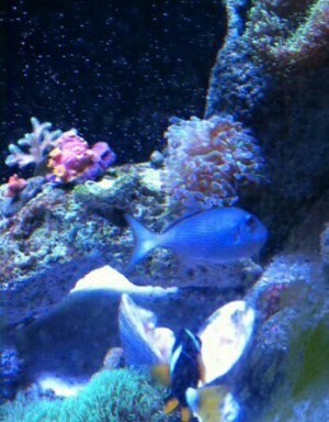 uploadfromtaptalk1399182110188.jpg uploadfromtaptalk1399182110188.jpg