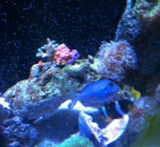 uploadfromtaptalk1399182133203.jpg uploadfromtaptalk1399182133203.jpg