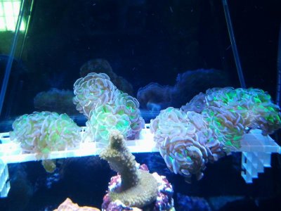 2014-05-04 12.13.25.jpg