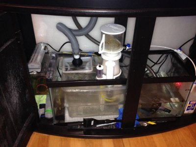 Sump setup 1 05-10-14.jpg