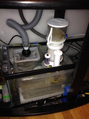 Sump setup 2 05-10-14.jpg