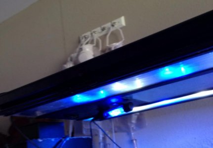 2014-02-07 11.05.27.jpg