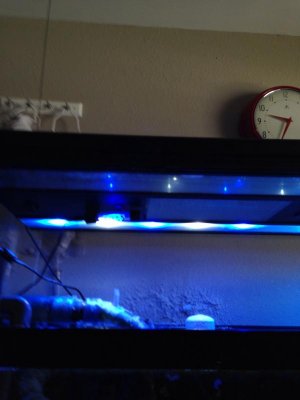 2014-02-07 09.40.00.jpg