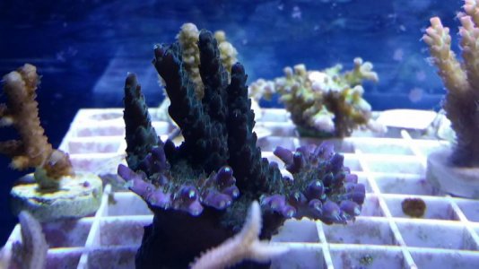 20140511_074925.jpg