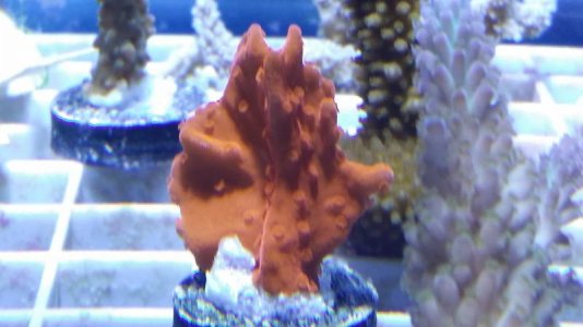 20140511_075106.jpg