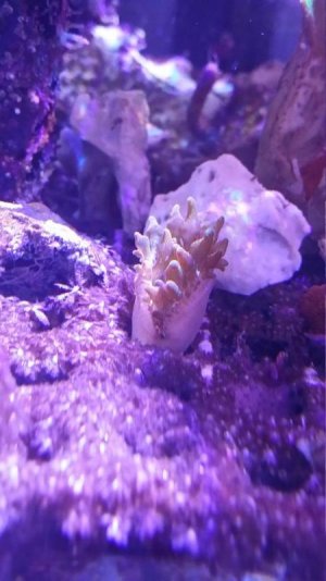 20140511_192114_zpsmfnpfmwc.jpg