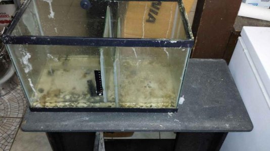 10gal sump.jpg