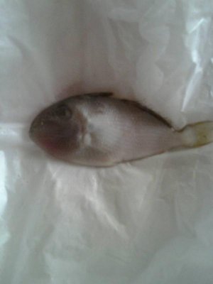 uploadfromtaptalk1400086654169.jpg uploadfromtaptalk1400086654169.jpg