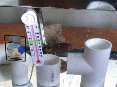 ImageUploadedByTapatalk 21400117367.325048.jpg