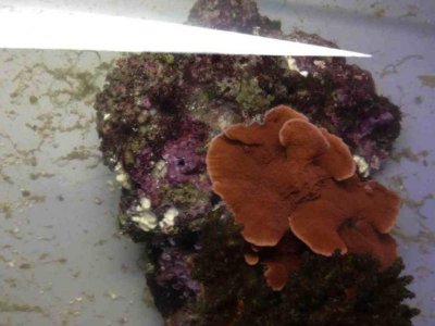 ImageUploadedByTapatalk 21400361031.057875.jpg