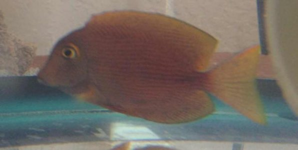 ImageUploadedByTapatalk 21400363071.271941.jpg