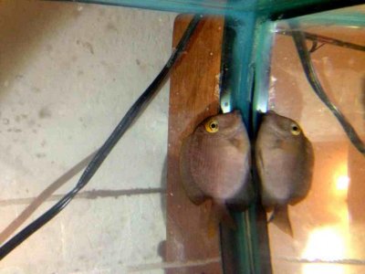 ImageUploadedByTapatalk 21400363151.130595.jpg