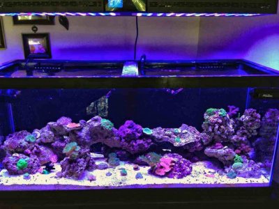 ImageUploadedByTapatalk 21400374071.140976.jpg