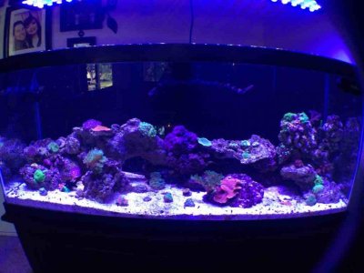 ImageUploadedByTapatalk 21400374082.850451.jpg