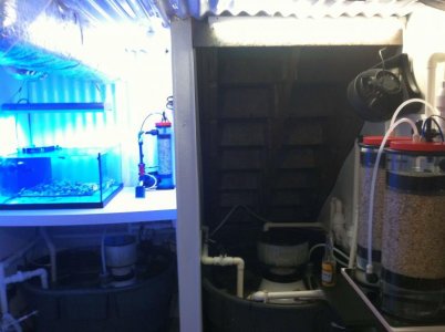 sump room.jpg