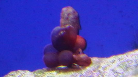 IMGA0086.jpg
