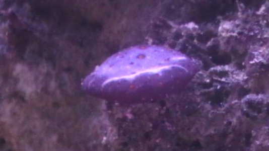 IMGA0079.jpg