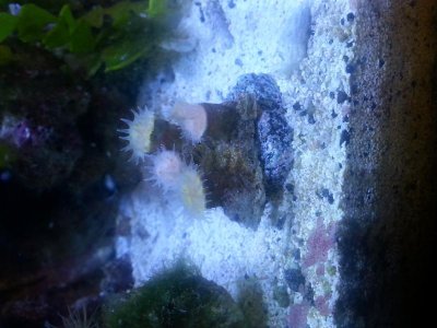 20140519_192603.jpg