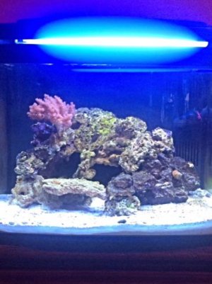 tank 3.jpg