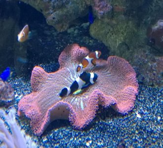 WP_20140517_003 (1).jpg