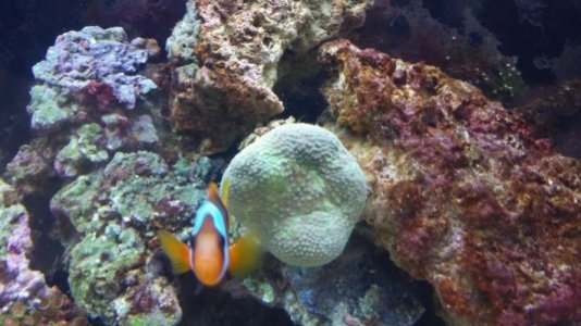 20140519_143846 (Custom).jpg