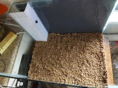 nano tank setup 001.jpg