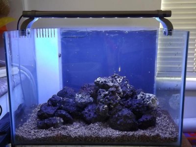 nano tank setup 005.jpg