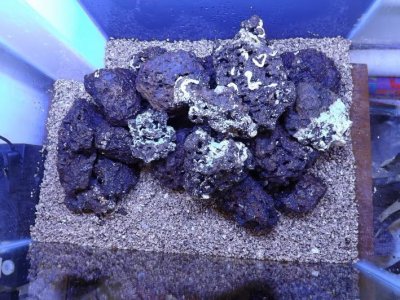 nano tank setup 003.jpg